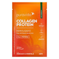 Collagen Protein Abacaxi & Hortelã Puravida Sachê 40g - MEUBRASILONLINE