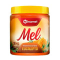Mel Florada Eucalipto Minamel 1kg - MEUBRASILONLINE